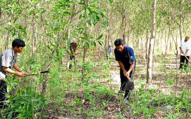 Thanh Hóa: Nghịch lý từ 1 chính sách nhiều chế độ (13/5/2019)