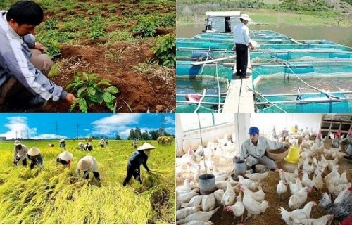 Tín dụng cho nông nghiệp (3/5/2019)