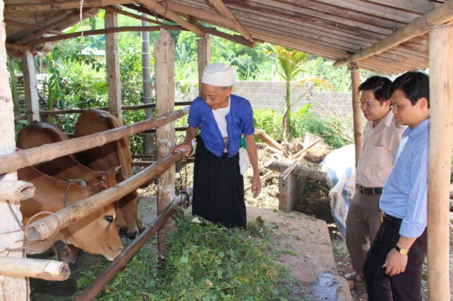 Tuyên dương, khen thưởng những hộ gia đình vươn lên thoát nghèo (13/6/2019)