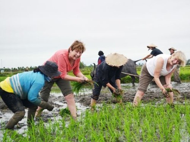 Kinh nghiệm phát triển du lịch nông nghiệp (8/6/2019)