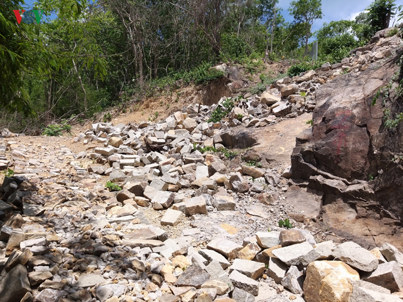 Bà Rịa – Vũng Tàu: Tái lấn chiếm đất rừng trên núi (11/6/2019)