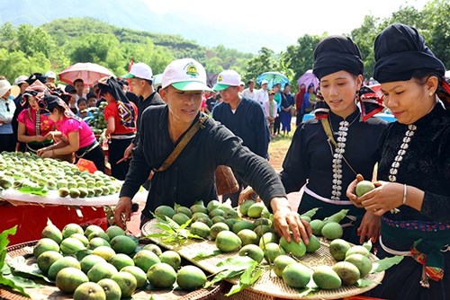 Phát triển kinh tế nhờ nông sản đặc sản của từng địa phương (4/6/2019)