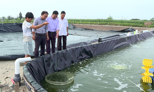 Đột phá kinh tế nhờ nuôi trồng thủy sản an toàn (25/6/2019)