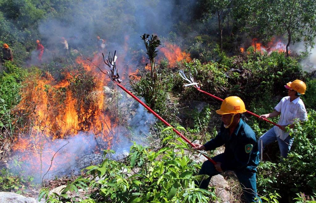 THỜI SỰ 21H30 ĐÊM 30/6/2019: Nhiều địa phương tại miền Trung đang tập trung chữa cháy rừng, trong khi đón chờ thời tiết sẽ dịu dần vào tối mai và bắt đầu có mưa từ mùng 2/7 tới.