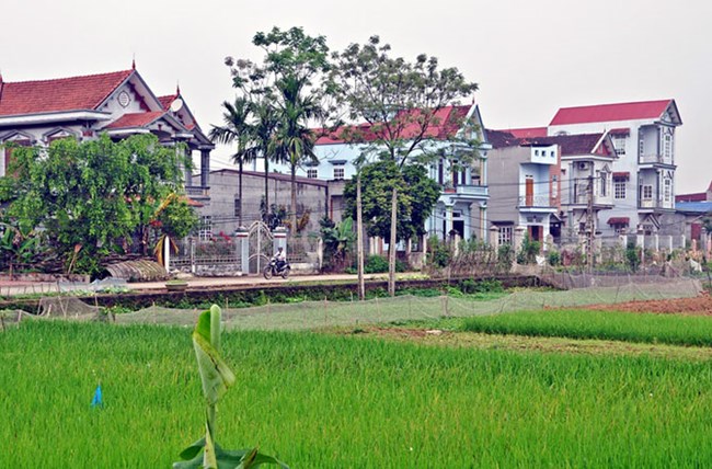 Nông thôn mới Vĩnh Phúc: Giải pháp tăng thu nhập cho nông dân (12/6/2019)