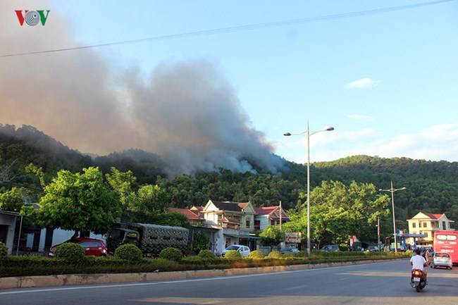 THỜI SỰ 12H TRƯA 29/6/2019: Cháy rừng tại Hà Tĩnh bùng phát trở lại, uy hiếp một số trạm xăng, khách sạn và hàng chục hộ dân. 