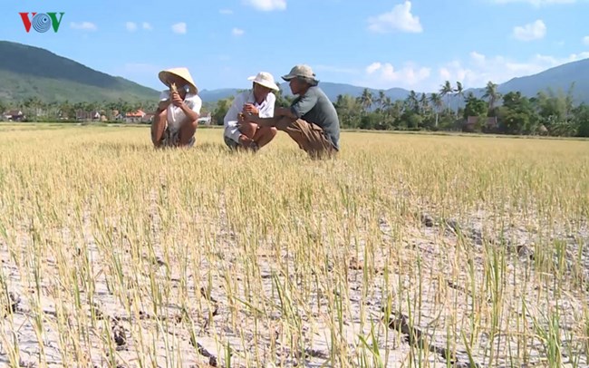 Thừa thiếu nước và câu chuyện quản lý (26/7/2019)