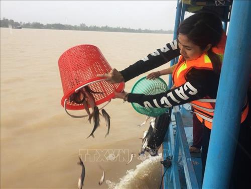 Giải pháp bảo vệ nguồn lợi thủy sản hạn chế hành vi khai thác bất hợp pháp (26/8/2019)