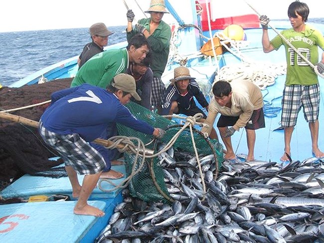 Gỡ thẻ vàng EC, vì một nghề cá có trách nhiệm phát triển bền vững (17/8/2019)