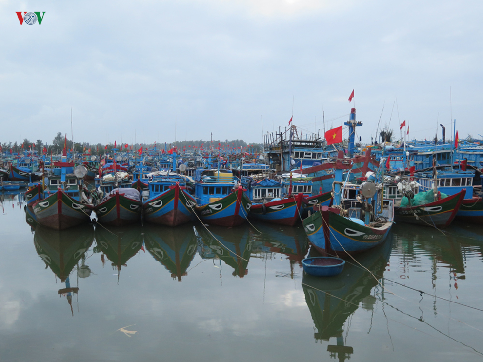 Quảng Ngãi chấm dứt tình trạng đánh bắt hải sản bất hợp pháp (24/8/2019)