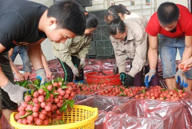 Xuất khẩu hàng hóa nông sản và thủy hải sản sang thị trường Trung Quốc - Cơ hội và thách thức (18/9/2019)