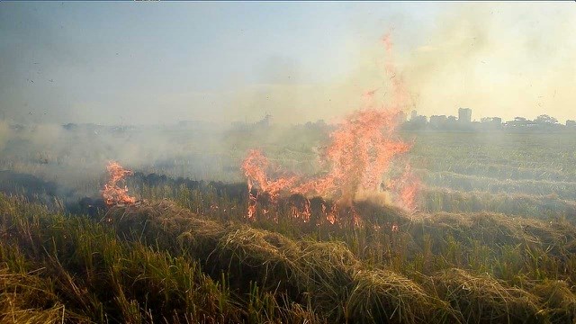 THỜI SỰ 18H00 CHIỀU 29/9/2019: Cảnh báo khói rơm rạ trên các cánh đồng huyện Sóc Sơn, Hà Nội, uy hiếp an toàn bay của sân bay Nội Bài