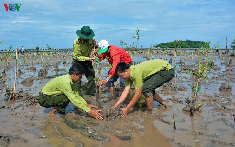 Những giải pháp cấp bách cần thực hiện đồng bộ để cứu lấy vùng đất châu thổ Cửu Long (23/9/2019)