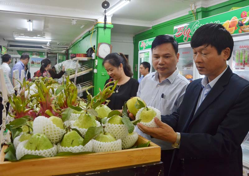 Phát triển nhãn hiệu tập thể cho sản phẩm nông nghiệp đặc trưng (21/1/2020)