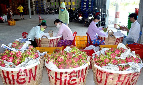 Câu chuyện hội nhập của nông sản Việt (15/1/2020)