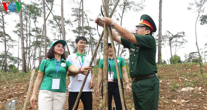 Tết trồng cây gắn với công tác quản lý, phát triển rừng (30/1/2020)