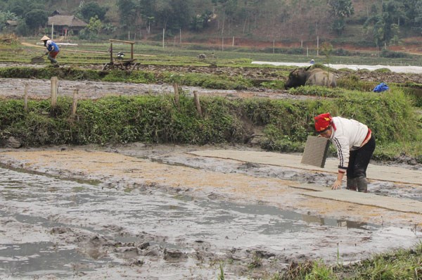 Chủ động lấy nước vụ Đông Xuân 2019 - 2020 (16/1/2020)