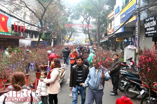 Nhộn nhịp chợ hoa Hàng Lược mỗi dịp Tết đến Xuân về (13/1/2020)