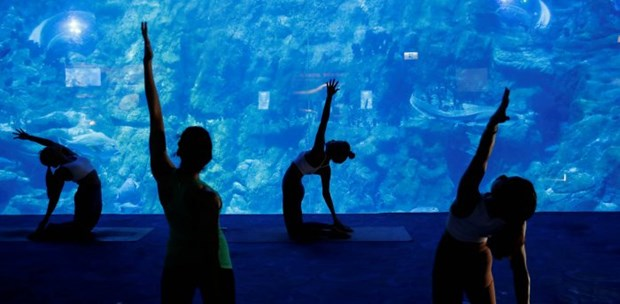 Trải nghiệm tập yoga giữa lòng đại dương. (10/10/2020)