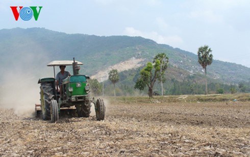 Đồng bằng sông Cửu Long: Giải pháp ứng phó hạn mặn, bảo vệ cây trồng (17/3/2020)