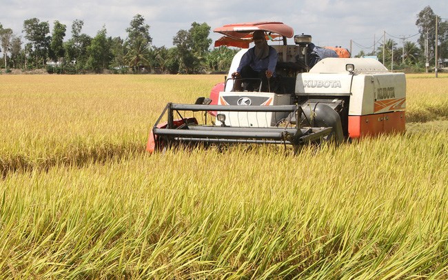 Bài học từ vụ đông xuân được mùa trong hạn mặn (30/3/2020)