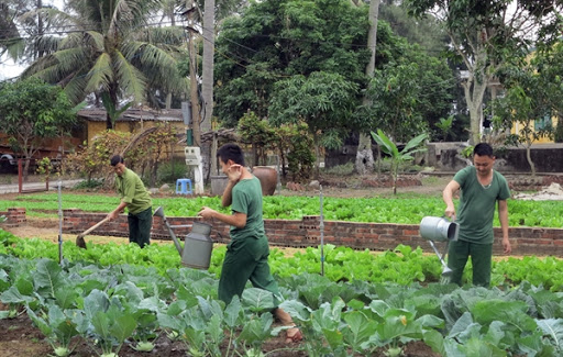 Khắc phục khó khăn, duy trì sản xuất trong điều kiện thiên tai, dịch bệnh (28/3/2020)