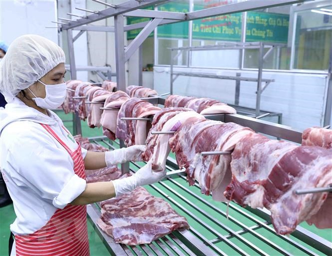 THỜI SỰ 18H CHIỀU 17/3/2020: Bộ Nông nghiệp và Phát triển nông thôn đề nghị doanh nghiệp giảm giá thịt lợn hơi xuống 70.000 đồng/kg.