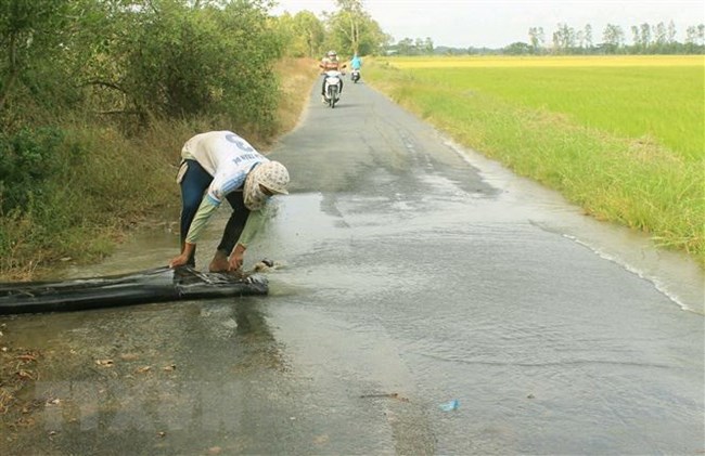 Chủ động ứng phó là điều kiện tiên quyết trước mối nguy hạn mặn (5/3/2020)