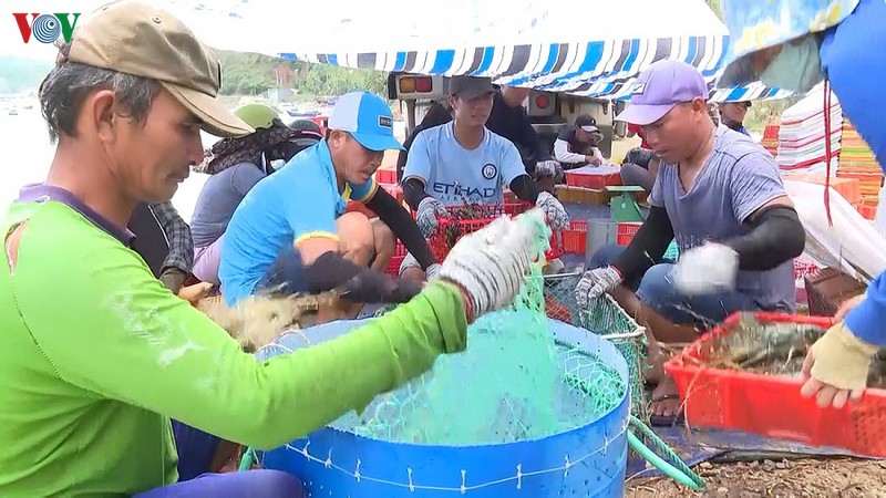 Phú Yên quy hoạch vùng nuôi trồng thủy sản bền vững (5/3/2020)