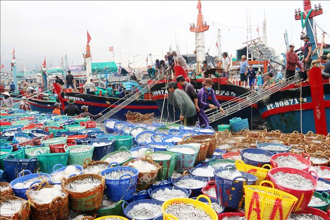 Ngành thuỷ sản thay đổi để thích ứng (1/4/2020)