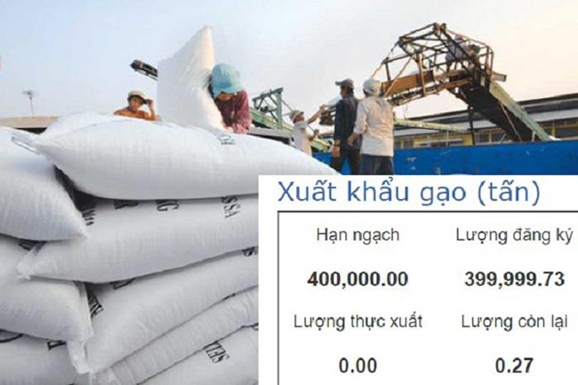 Nhiều doanh nghiệp từ chối bán gạo dự trữ cho nhà nước để đăng ký xuất khẩu gạo (15/4/2020)