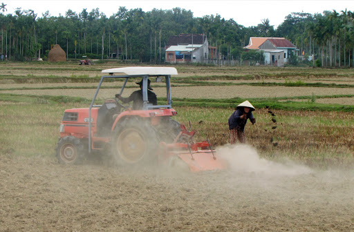 Nghệ An: Đối mặt nguy cơ thiếu nước vụ hè thu (14/5/2020)