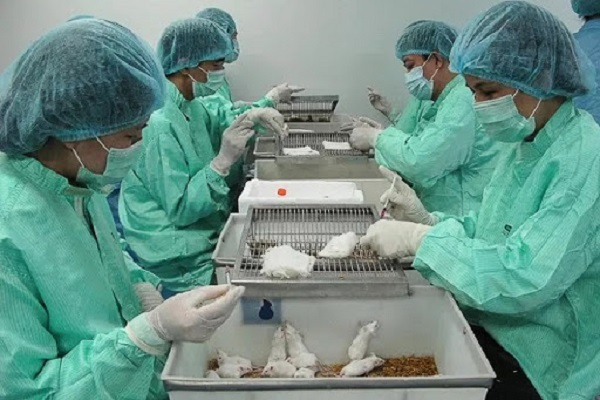 THỜI SỰ 6H SÁNG 28/6/2020: Việt Nam thử nghiệm thành công vaccine Covid-19 trên chuột. 