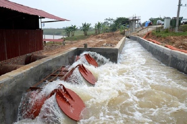 Bắc Ninh, Bắc Giang: vi phạm công trình thủy lợi trước mùa mưa bão diễn ra nghiêm trọng (11/6/2020)