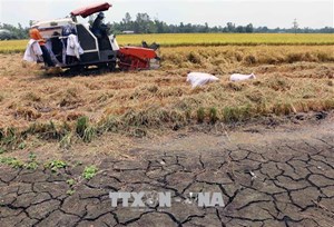 ĐBSCL: giải pháp phát triển nông nghiệp ứng phó với hạn mặn (2/7/2020)