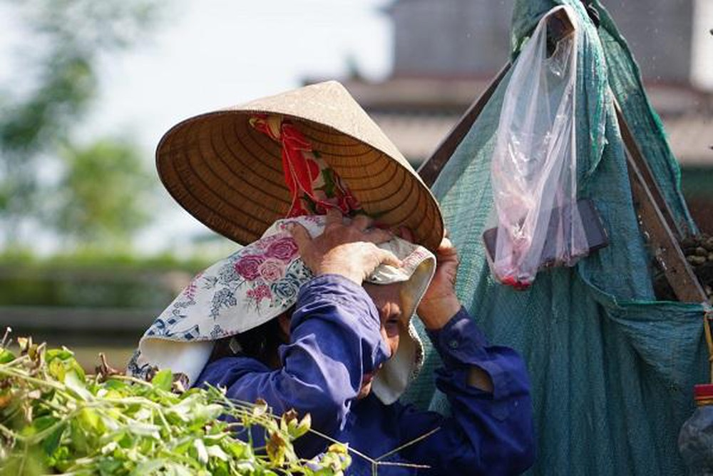 Nắng nóng tiếp tục đảo lộn đời sống, sản xuất người dân các tỉnh Bắc Trung bộ (16/7/2020)