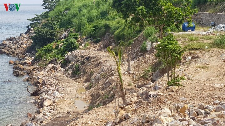 THỜI SỰ 6H SÁNG 9/7/2020: UBND huyện đảo Kiên Hải, tỉnh Kiên Giang, có dấu hiệu sai phạm khi cấp sổ đỏ trên đất rừng với tổng diện tích rất lớn
