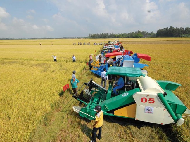 Lời giải nào cho bài toán cơ giới hóa trong sản xuất nông nghiệp? (6/7/2020)