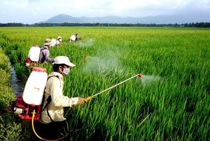 Hạn chế thuốc bảo vệ thực vật để có sản phẩm an toàn (30/7/2020)