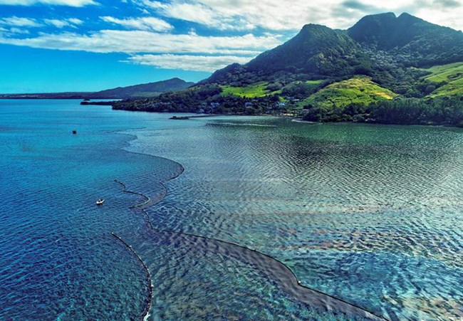 Sự cố tràn dầu ở Mauritius gây ảnh hưởng lớn đến hệ sinh thái Ấn Độ Dương (13/7/2020)