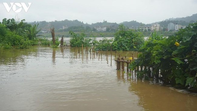 Các tỉnh Tây Bắc khắc phục hậu quả mưa lũ, ứng phó nước sông Hồng sẽ lại dâng cao khi Trung Quốc xả lũ (20/8/2020)