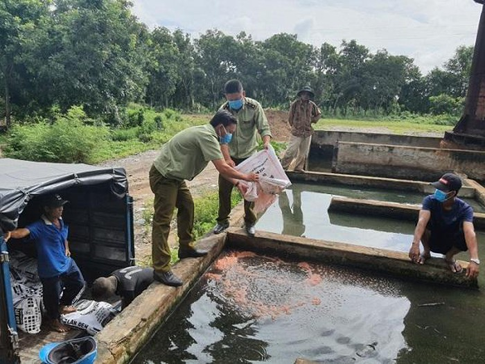 Kiên Giang: Tiêu hủy hơn 3 tấn phân bón giả không có giá trị sử dụng (21/8/2020)