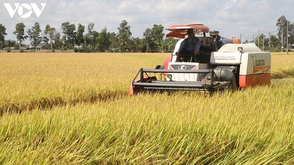 Cách mạng tháng 8 và vị thế mới của người nông dân (19/08/2020)