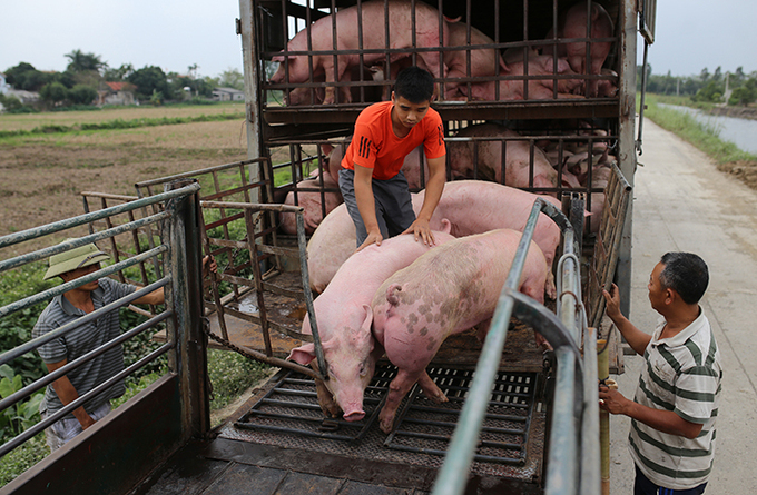 Hội nghị SOM ASEAN: Covid-19 không ngăn được hợp tác của ASEAN đối phó với các thách thức (7/9/2020)