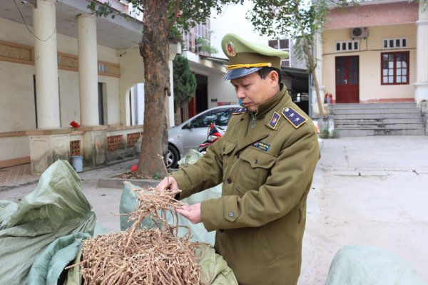 Lạng Sơn: Thu giữ gần 1 tấn nguyên liệu thuốc Bắc nhập lậu (14/1/2021)