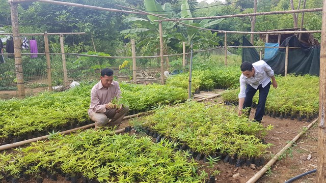 Hiệu quả từ mô hình hỗ trợ hộ cam kết thoát nghèo bền vững. (Thanh Hóa) (26/10/2020)