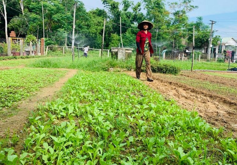 Làm mô hình trang trại sinh thái cần chuẩn bị gì