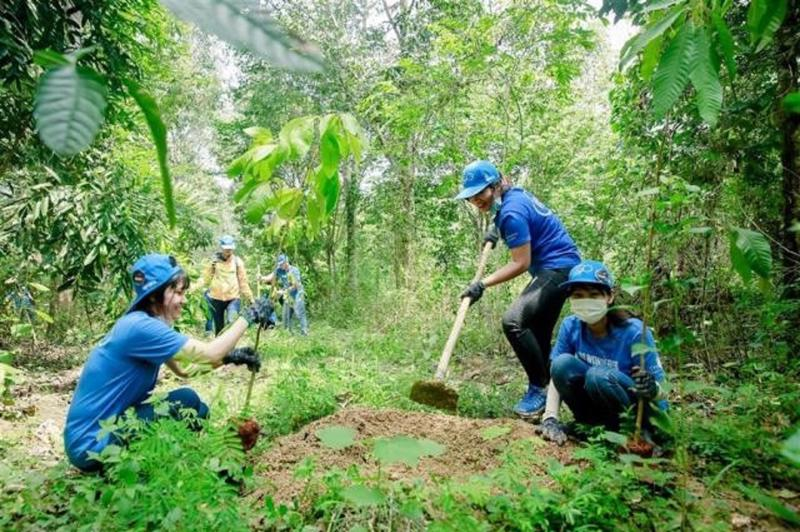 Vì sao gần 3 triệu ha rừng vẫn chưa có chủ? (06/10/2021)