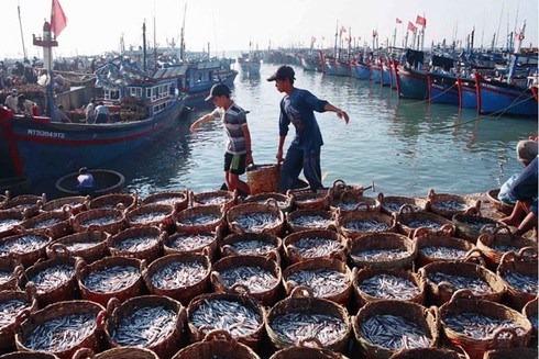 Phát triển nghề cá có trách nhiệm góp phần sớm tháo gỡ thẻ vàng (30/10/2021)