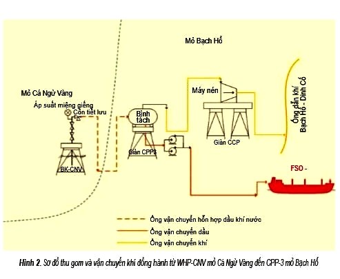 Petrovietnam: Tiên phong phát triển khoa học công nghệ (18/05/2021)